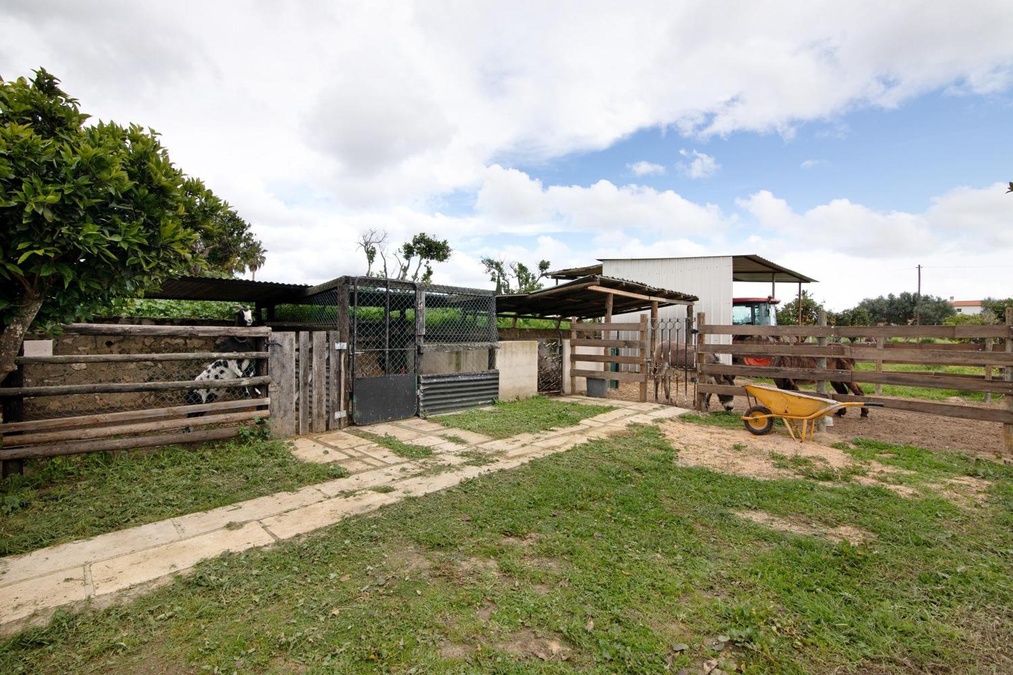 Casa Lavadeira - Vinhas De Nexe Ferienhaus